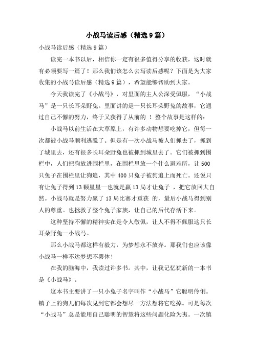 小战马读后感(精选9篇)