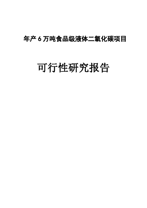 年产6万吨食品级液体二氧化碳项目可行性研究报告