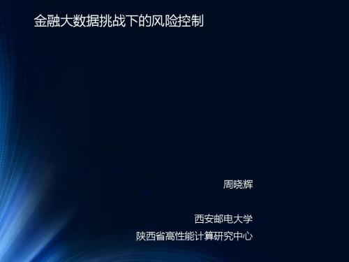 金融大数据挑战下的风险控制(ppt22张)