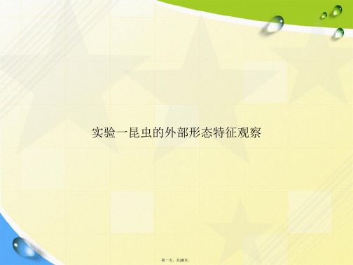 实验一昆虫的外部形态特征观察讲课文档