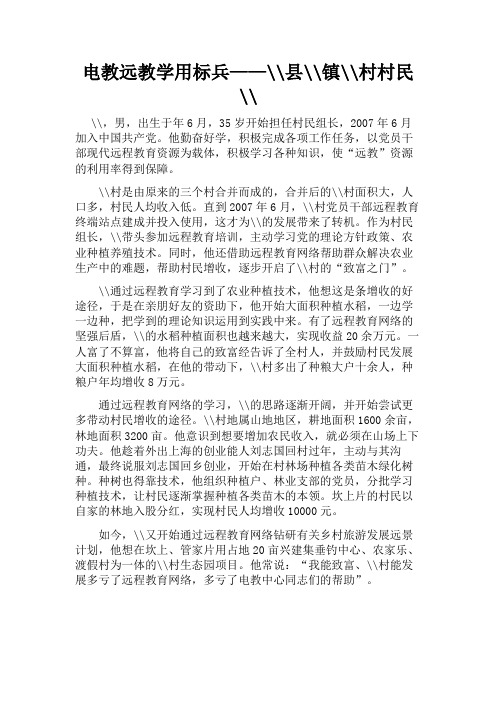 电教远教学用标兵