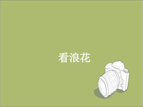 【人教版】2018学年语文二年级下册选读课文-4《看浪花》ppt课件(1)