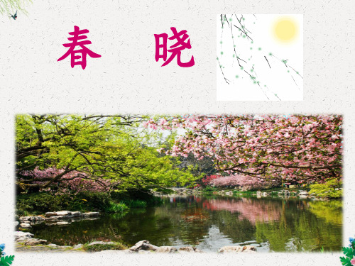 一年级下册语文课件8《春晓》∣长春版 (共15张PPT)