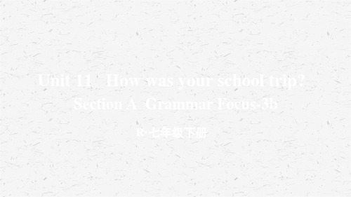 人教版七年级英语下册Unit 11 第2课时(A Grammar Focus-3b)优质课件