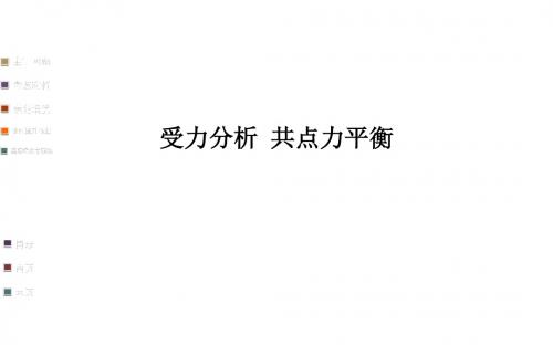专题受力分析-共点力的平衡