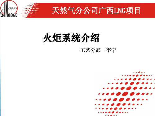 第27讲--2015-06-16  LNG火炬系统介绍-李宁