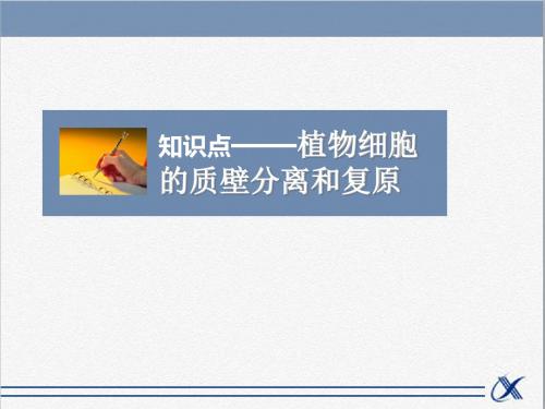 人教版高中生物必修1分子与细胞课件知识点-植物细胞的质壁分离和复原