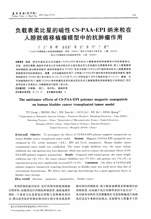 负载表柔比星的磁性CS-PAA-EPI纳米粒在人膀胱癌移植瘤模型中的抗肿瘤作用