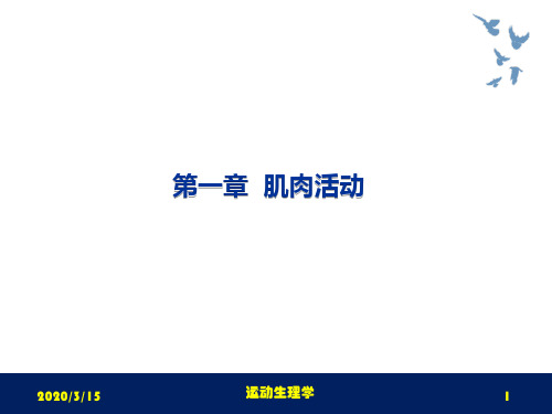 运动生理学课件第一章肌肉活动