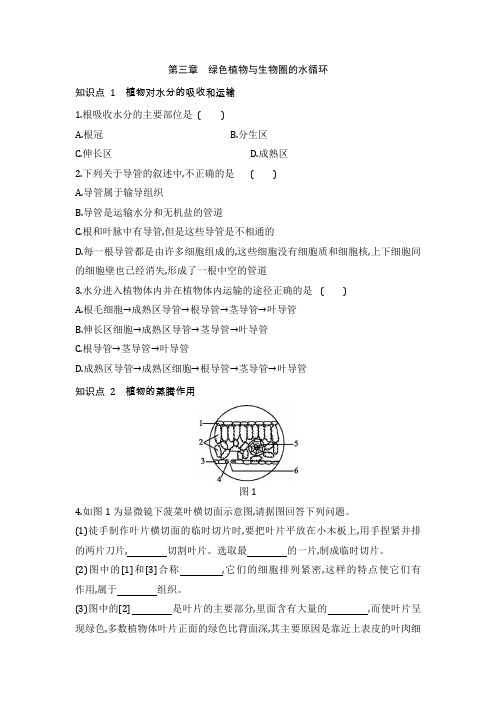 2022学年人教版生物七年级上册第3单元第3---4章同步测试题附答案