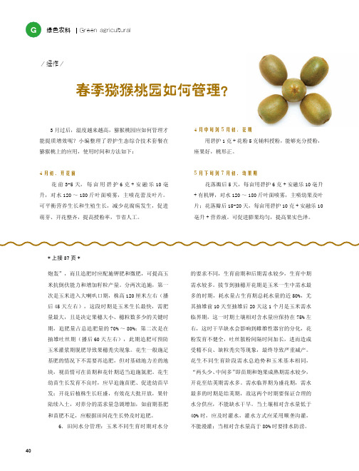 春季猕猴桃园如何管理？