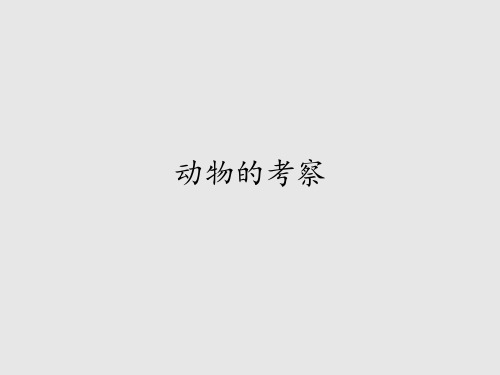 首师版小学六年级科学上册动物的考察_课件1