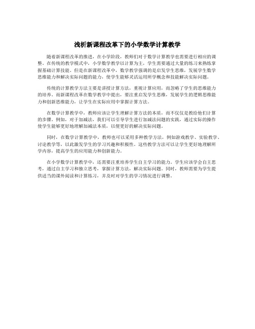 浅析新课程改革下的小学数学计算教学