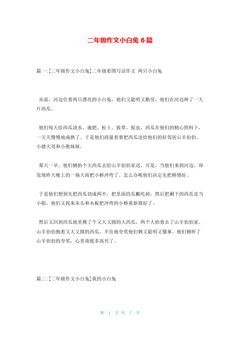 二年级作文小白兔6篇