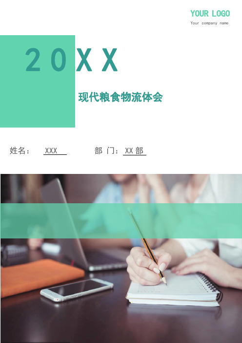 现代粮食物流体会
