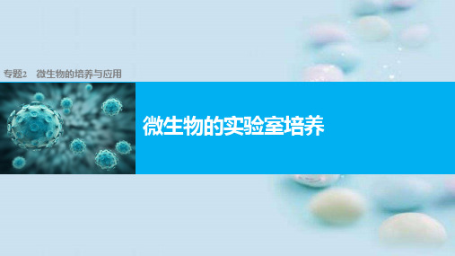 人教版高中生物选修一专题二课题1微生物的实验室培养 课件(共35张PPT)