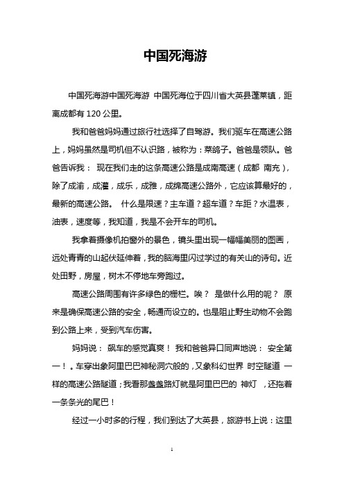 中国死海游