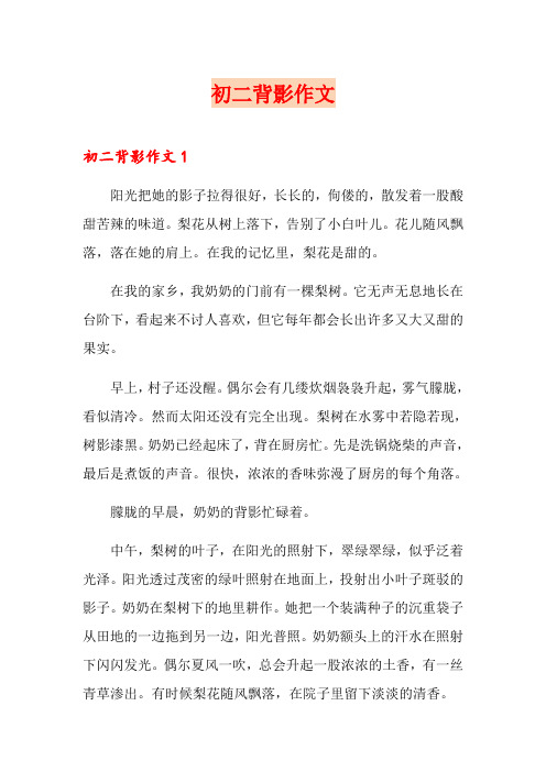 初二背影作文