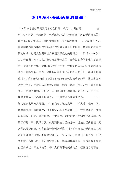 2019年中考政治复习提纲.doc