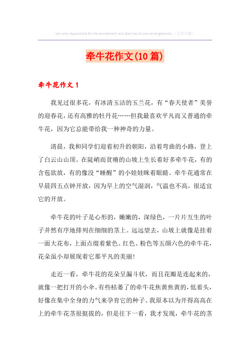 牵牛花作文(10篇)