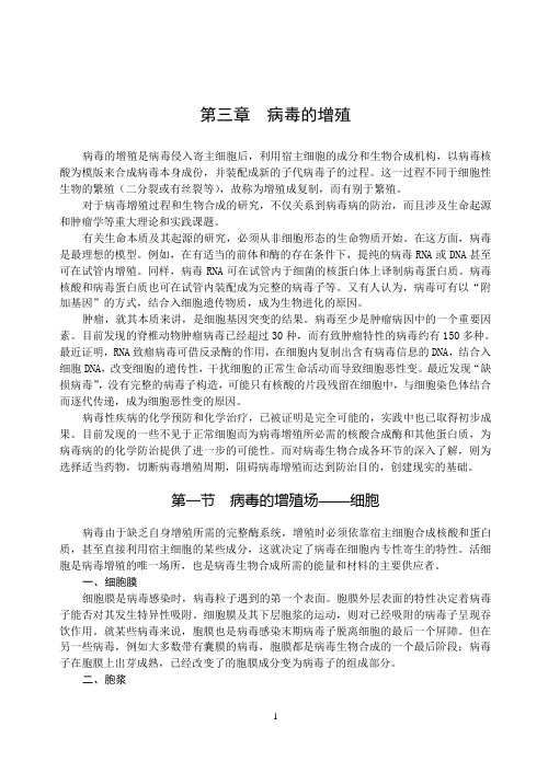 第三章  病毒的增殖