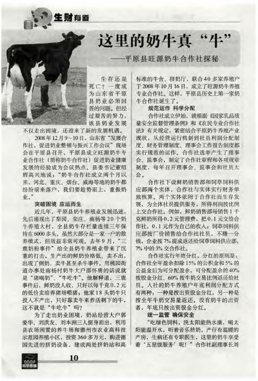 这里的奶牛真“牛”——平原县旺源奶牛合作社探秘