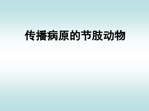 动物寄生虫课件：节肢动物-蜱-牛皮蝇