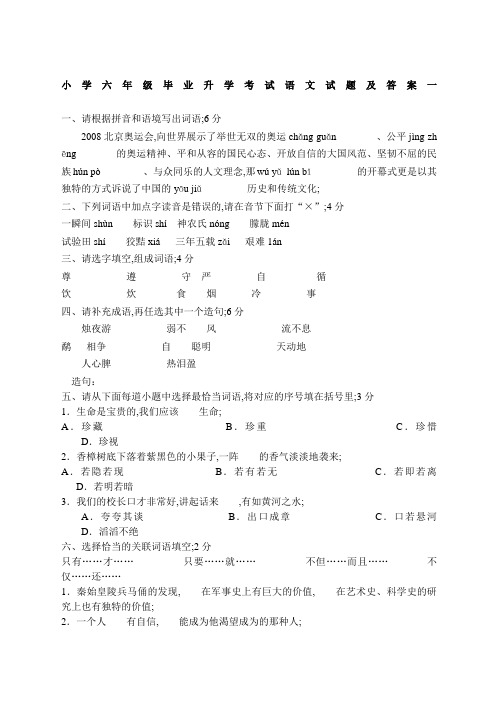 小学六年级毕业升学考试语文试题及答案一