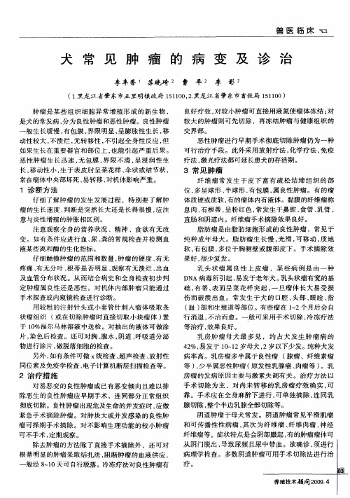 犬常见肿瘤的病变及诊治