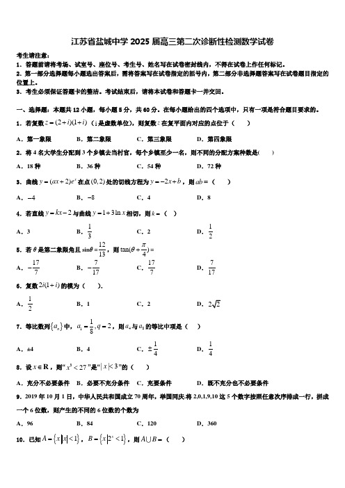 江苏省盐城中学2025届高三第二次诊断性检测数学试卷含解析