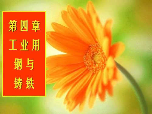 工业用钢与铸铁-工程材料及其热处