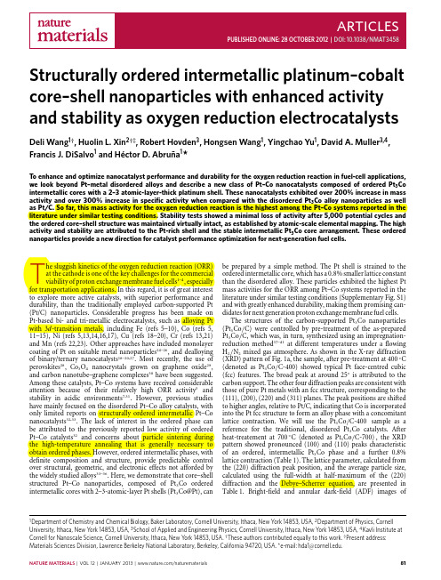 Structuy and Stability as Oxygen Reduction Electrocatalyst
