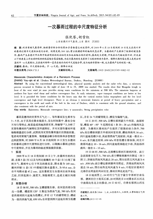 一次暴雨过程的中尺度特征分析