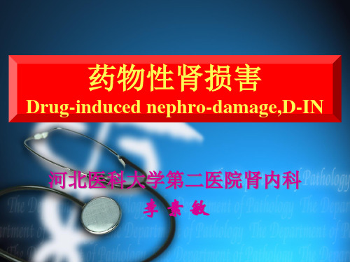 药物性肾损害李素敏.pptx