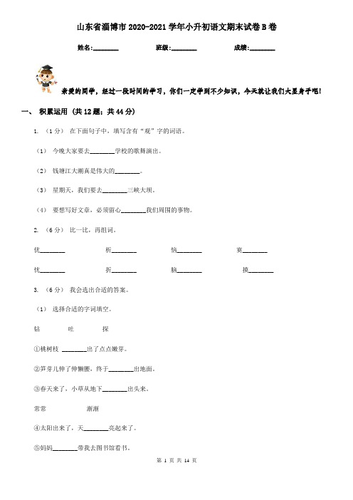 山东省淄博市2020-2021学年小升初语文期末试卷B卷(模拟)