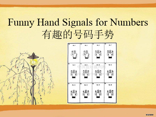有趣的号码手势PPT
