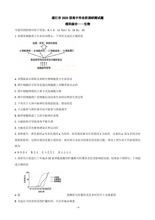 2020届广东省湛江市高三9月调研考试  理综