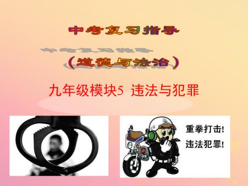 2019届中考道德与法治复习九全模块5违法与犯罪课件苏教版