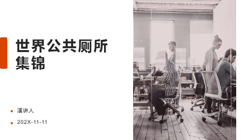 世界公共厕所集锦PPT模板