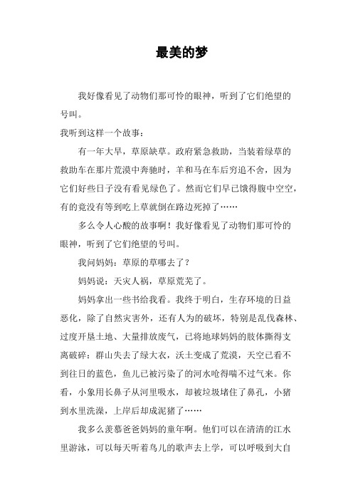 最美的梦