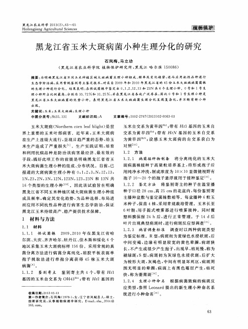 黑龙江省玉米大斑病菌小种生理分化的研究