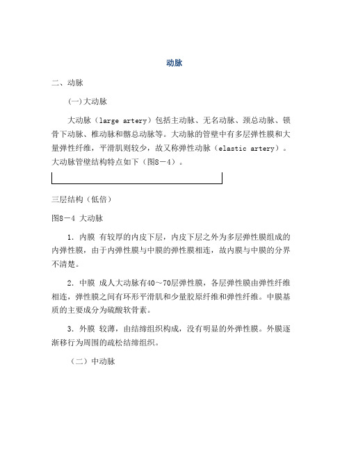 医学知识之动脉