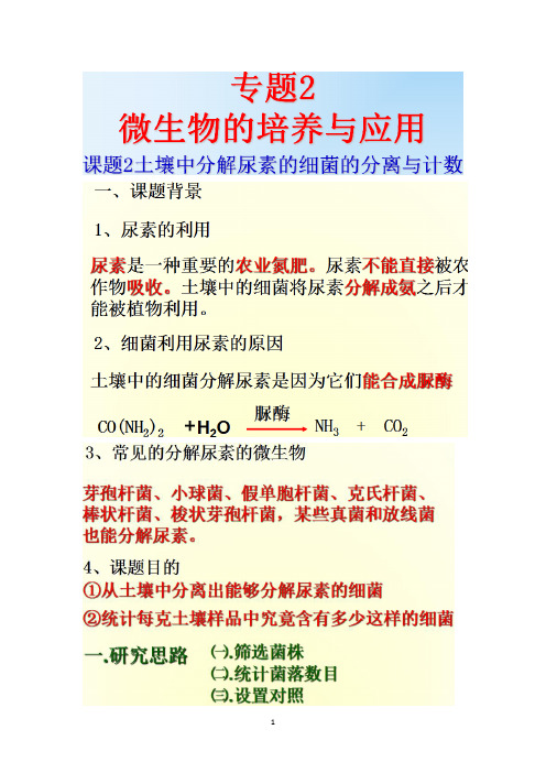 高三生物选修一讲课文稿4