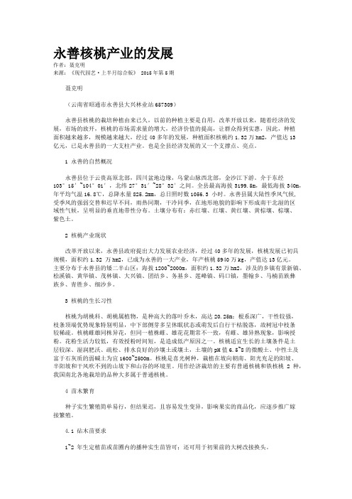 永善核桃产业的发展