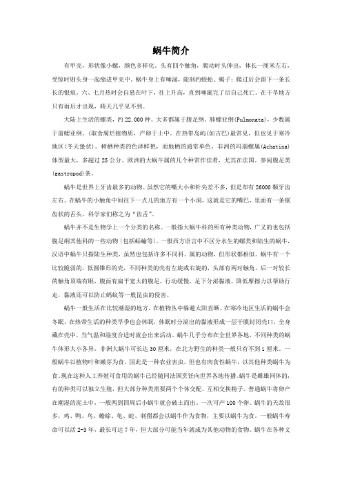 蜗牛简介