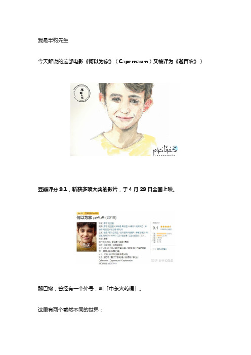 半钧先生：《何以为家》_电影解说