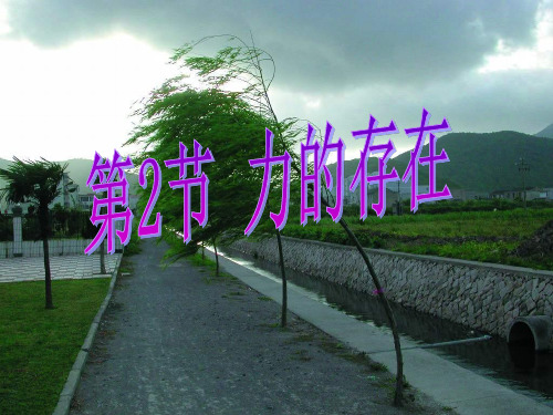 浙教版七年级下册科学：第2节 力的存在