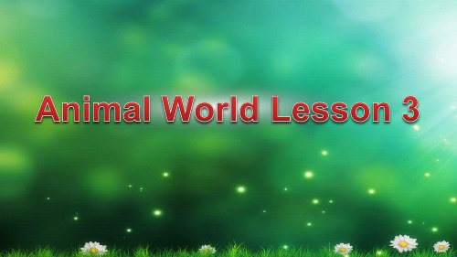 人教版新起点2020-2021学年六年级英语上册Unit 3Animal world   Lesson 3课件