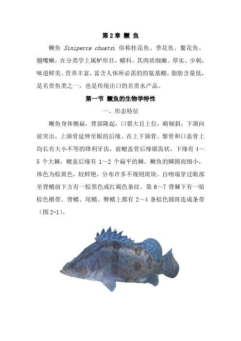 鳜鱼