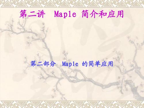 第二讲_Maple初步和应用续